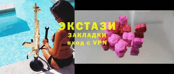гашик Вяземский