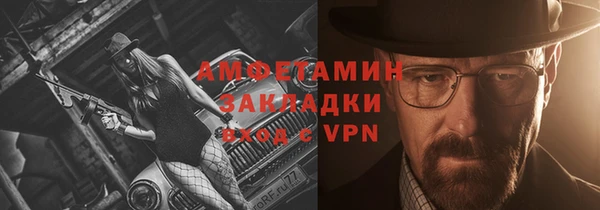 гашик Вяземский