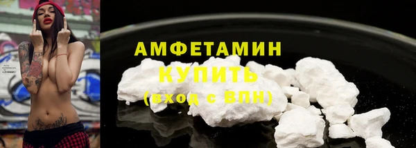 гашик Вяземский