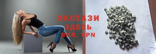 гашик Вяземский