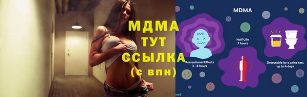 гашик Вяземский