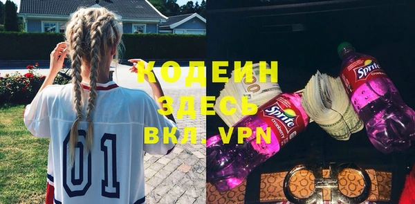гашик Вяземский
