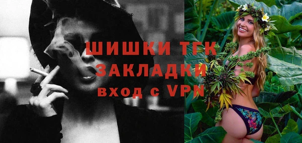 гашик Вяземский