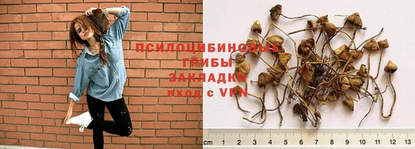 ГАЛЛЮЦИНОГЕННЫЕ ГРИБЫ Вязьма
