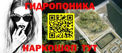мяу мяу мука Кингисепп