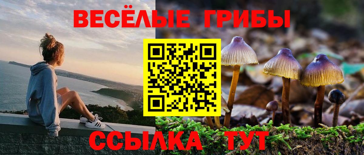 Галлюциногенные грибы MAGIC MUSHROOMS  сколько стоит  Вход с VPN  Наро-Фоминск  Псилоцибиновые грибы Psilocybine cubensis 