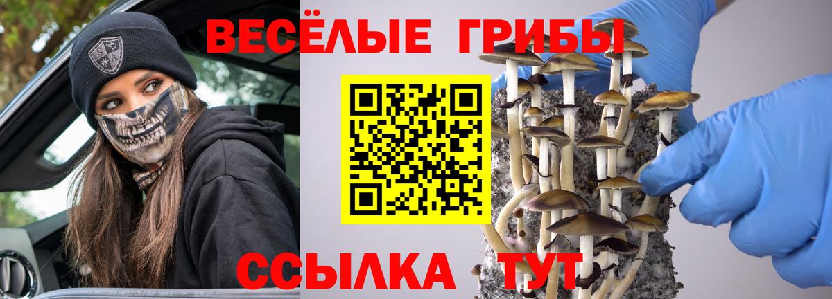 Псилоцибиновые грибы Psilocybine cubensis Наро-Фоминск